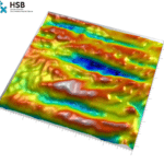 Kutikula mit Mikrofalten