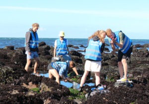 Team von Bionik Studierenden in den Rockpools von Helgoland während der Exkursion.