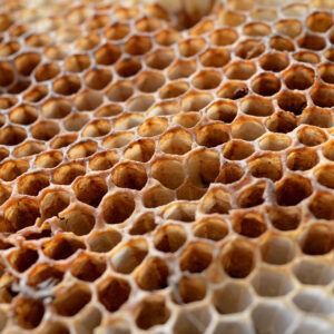 Makroaufnahme einer Wabenstruktur von z.B. Bienen.