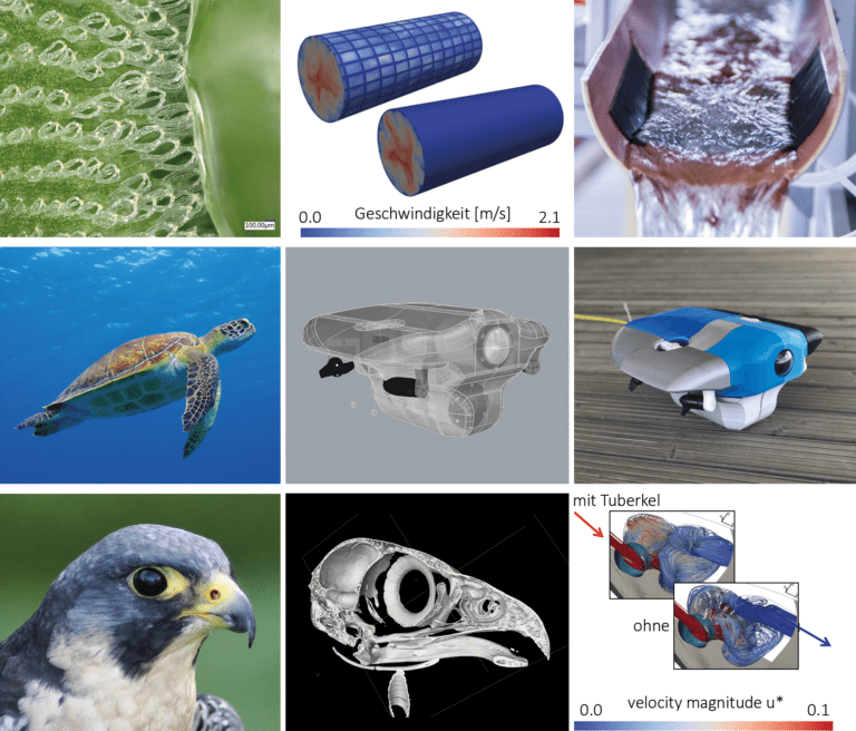 Titelbild des 10. Bremer Bionik-Kongresses