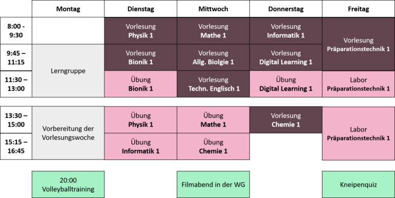 Beispielhafter Stundenplan wie das erste Semester im Bionik Studium aussehen könnte. Die Vormittage sind mit Vorlesungen in verschiedenen Fächern gefüllt, während am Nachmittag Übungen stattfinden. An Abenden, Wochenenden oder einem freien Tag bleibt Zeit zum Lernen, Vorbereiten oder Aktivitäten.