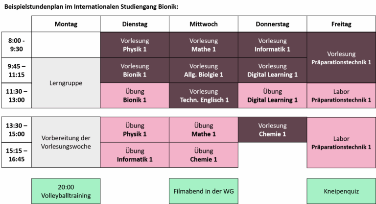Beispielhafter Stundenplan wie das erste Semester im Bionik Studium aussehen könnte. Die Vormittage sind mit Vorlesungen in verschiedenen Fächern gefüllt, während am Nachmittag Übungen stattfinden. An Abenden, Wochenenden oder einem freien Tag bleibt Zeit zum Lernen, Vorbereiten oder Aktivitäten.