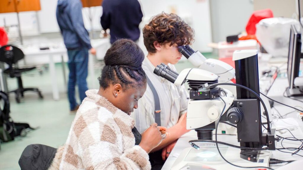 Zwei Studierenden sitzen an Mikroskopen. Die hintere Person schaut durch das Binocular, die vordere Person hält eine Petrischale in der Hand.
