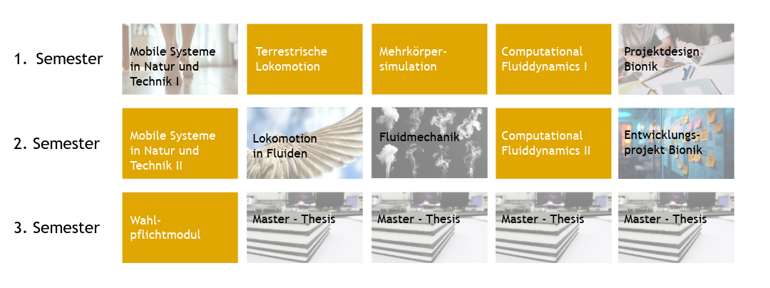 Übersicht über die Verteilung der Module über die drei Semester im Master Bionik Mobile Systeme