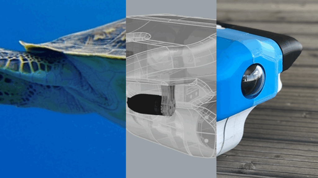 Links: Hinterflossen und Schwanz einer Seeschildkröte im Meer, Mitte: Computermodel eines Objekts mit Ähnlichkeit zur Schildkröte, Rechts: Vorderteil eines Unterwasserroboters, der in seiner Umströmung einer Schildkröte nachempfunden ist.