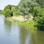 Links Flusswasser, schwimmende Personen, rechts Uferböschung mit Wiese und Bäumen.